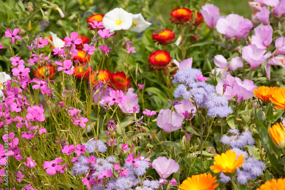 Colorful garden bed of brightly lit flowers