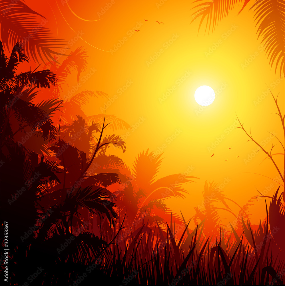 Jungle background at sunset