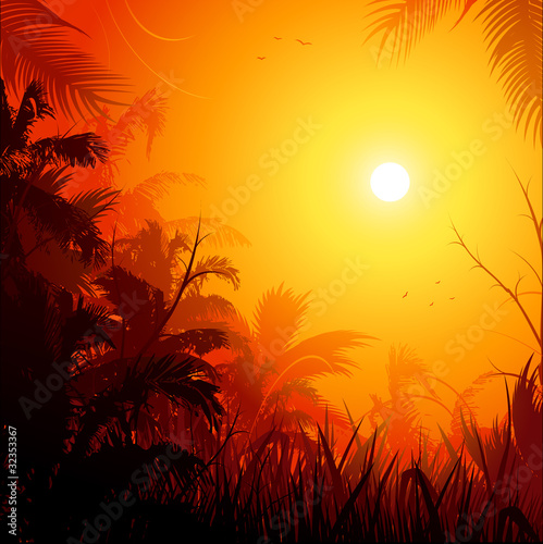 Fototapeta Naklejka Na Ścianę i Meble -  Jungle background at sunset