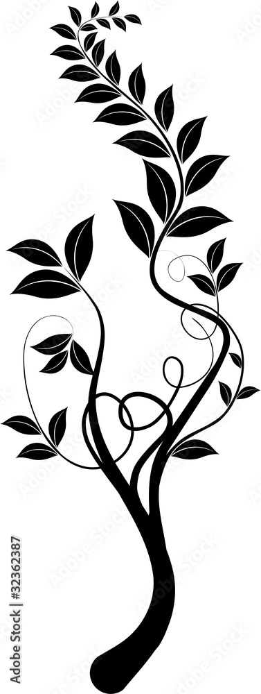 Obraz premium Liane vecteur noir sur fond blanc - brush dessin vectoriel