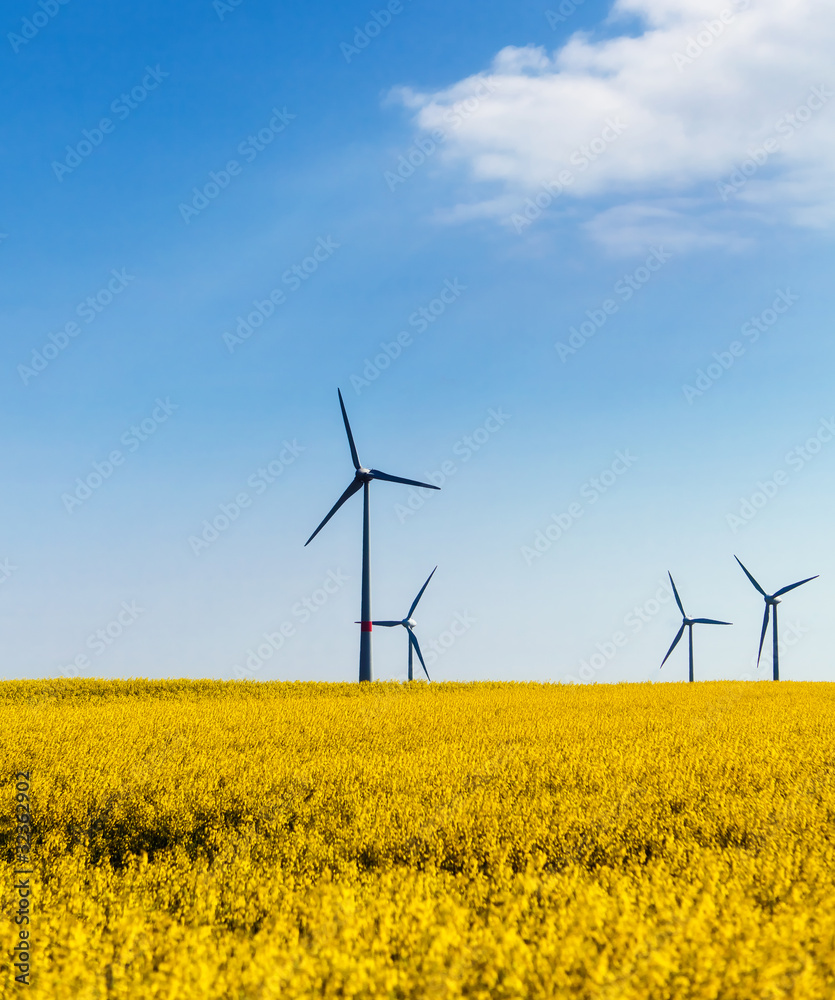 Windpark 03 Windpark 03