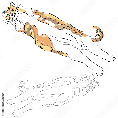 Fat Calico Cat Laying Down