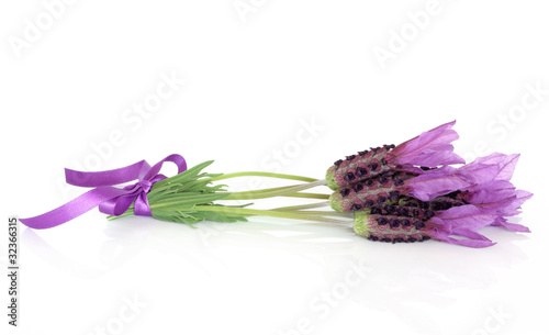 Fototapeta Naklejka Na Ścianę i Meble -  Lavender Herb Flower Posy