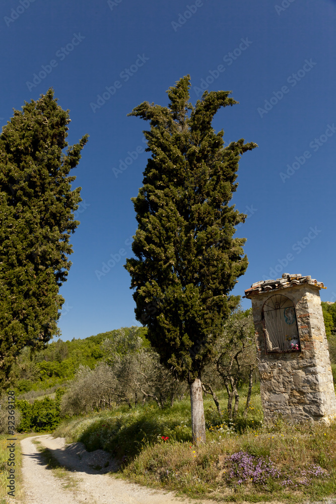 Obraz premium Umbria, panorama primaverile