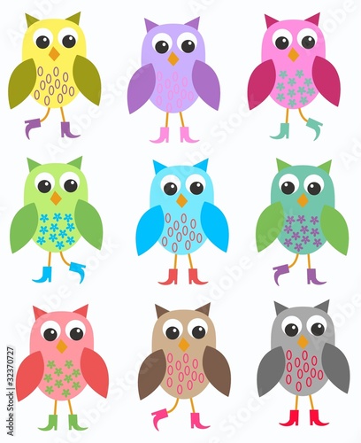 colourful owls