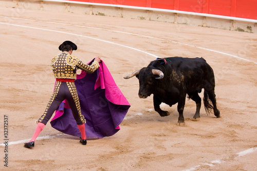 Spanish bullfighting photo