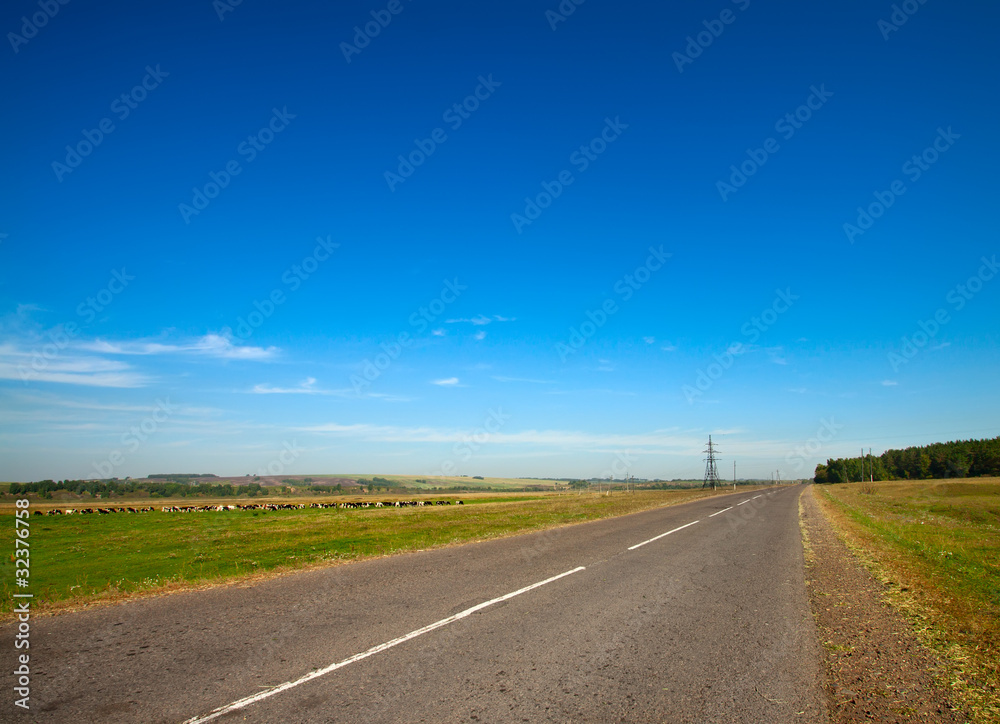 Summer landscape with rural road and cloudy sky