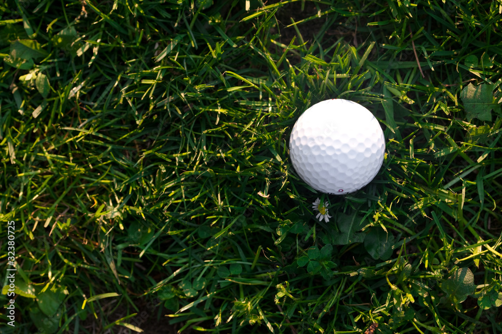background of spring green grass and golf ball background of spring green grass and golf ball