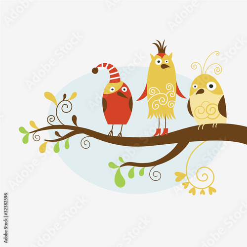 funny birds