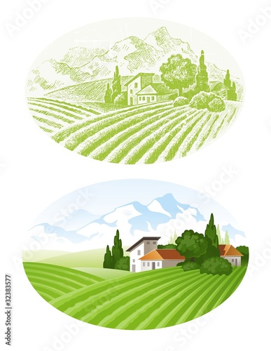 Vector landscape with cultivated fields, village and mounains