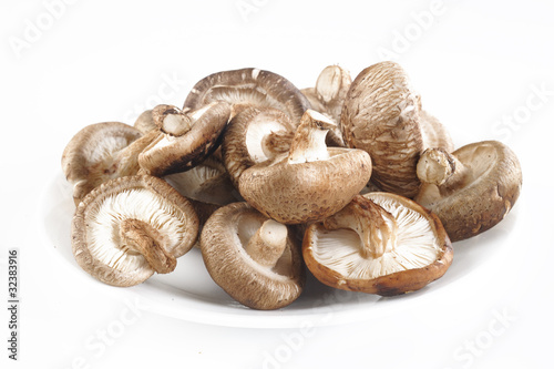 pile mushroom on white background