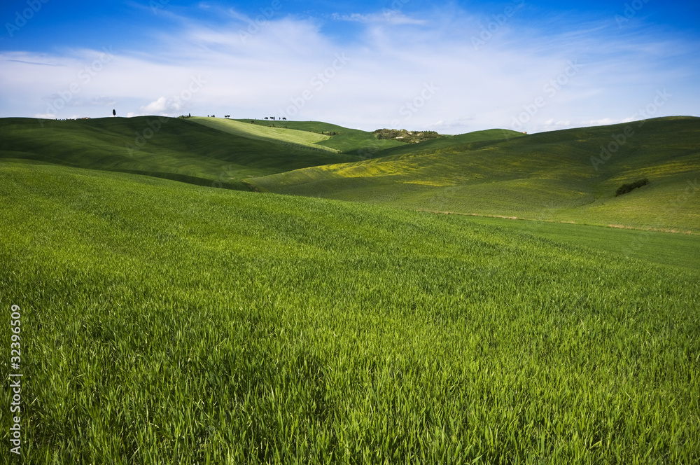 Fototapeta premium Tuscany landscape