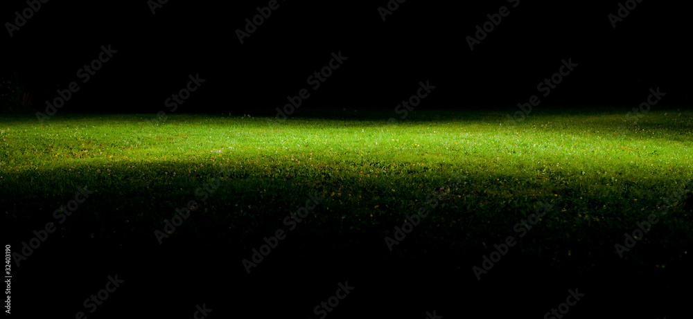 green lawn at night