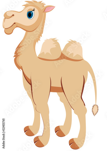 Illustration of cute funny camel