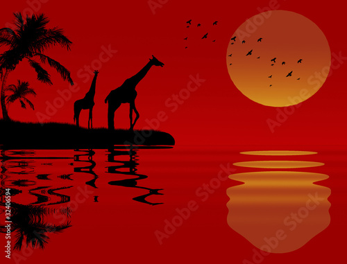Giraffes near water