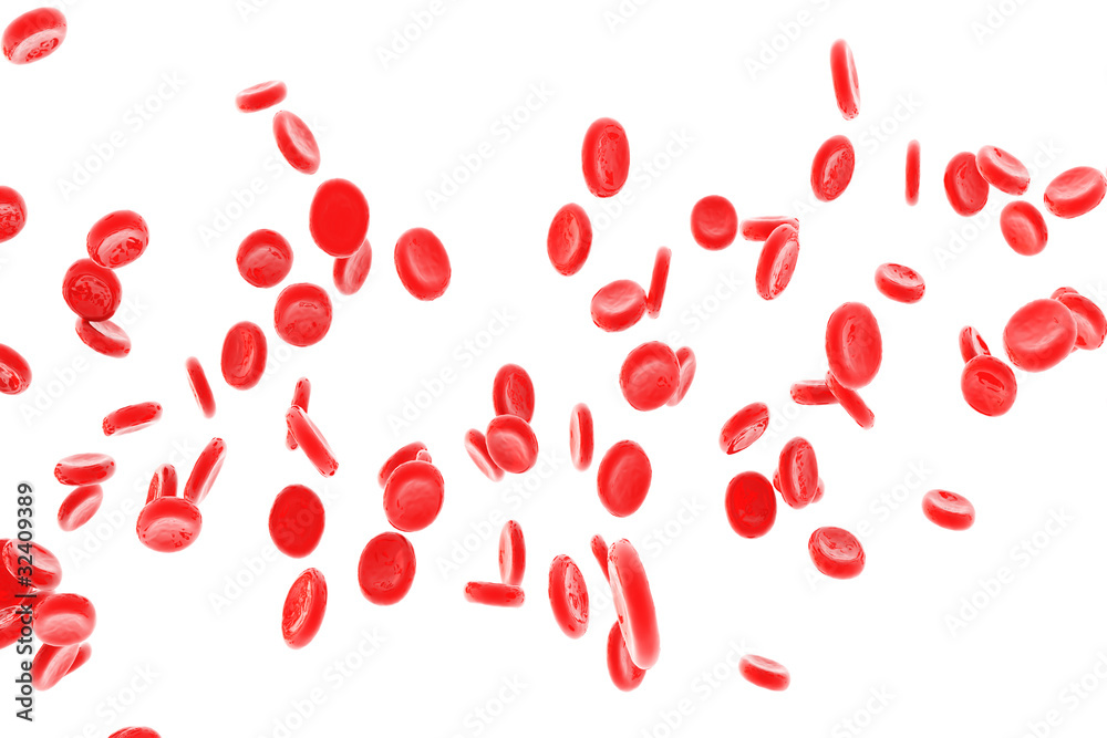 Red blood cells isolated on white Red blood cells isolated on white