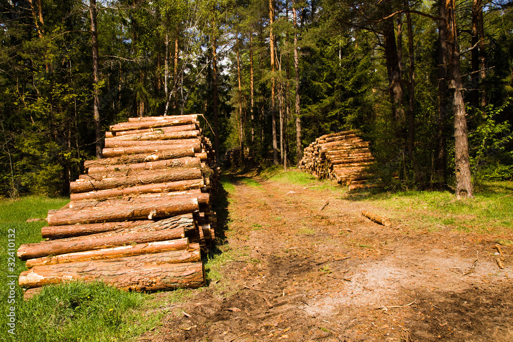 The cut down trees combined together