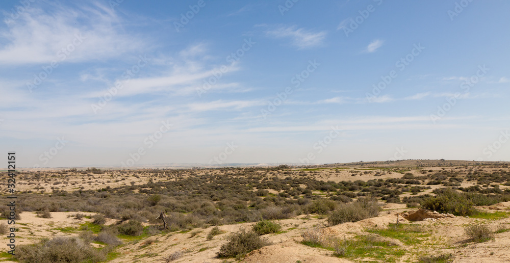 Stone desert