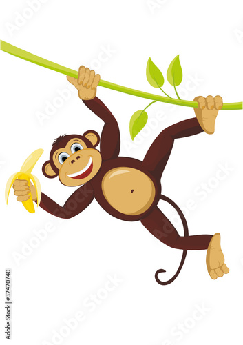 Monkey on liana with banana