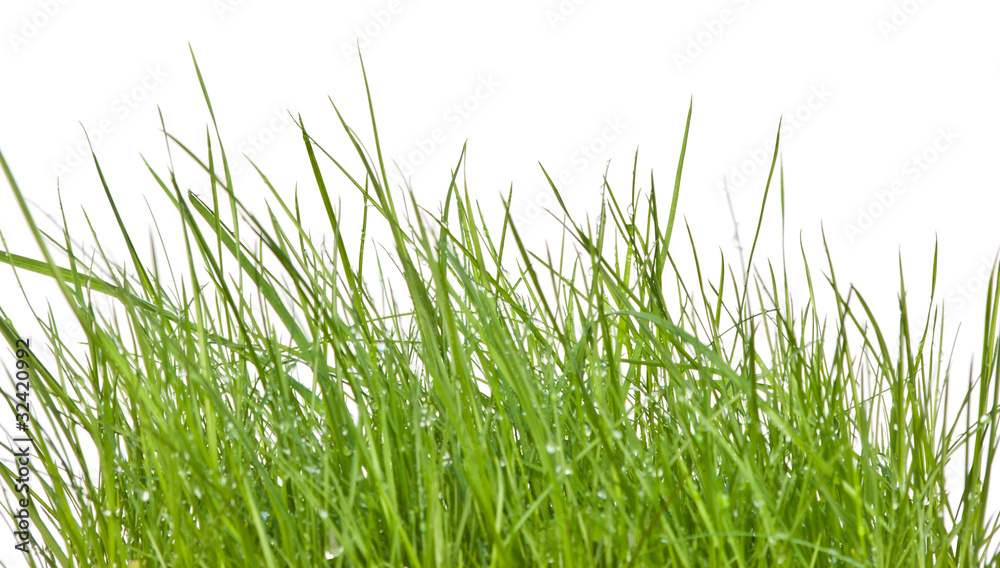 herbes herbes