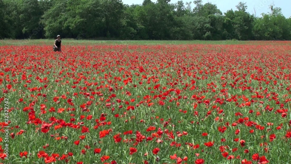 Marcheuse randonneuse traversant un champ de coquelicots