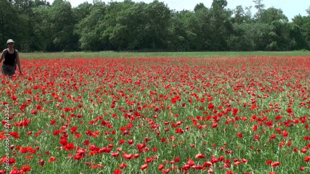 Marcheuse randonneuse traversant un champ de coquelicots