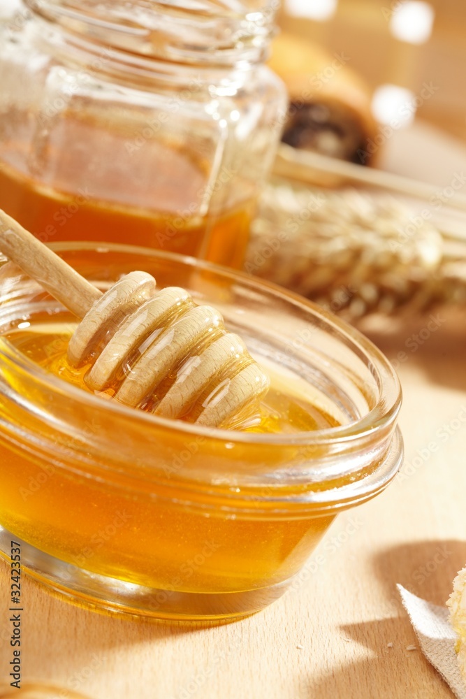 Honey with wood stick Honey with wood stick