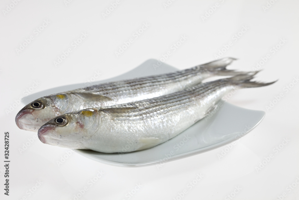 Two fish on white plate Two fish on white plate
