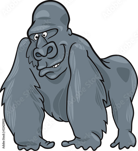 gorilla