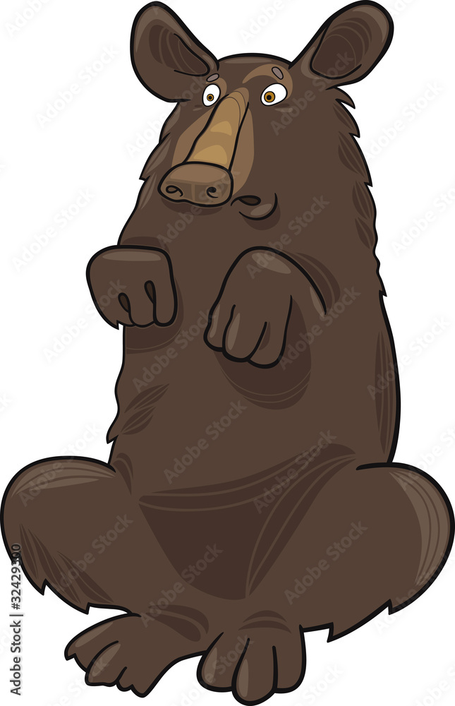 Baribal American black bear Baribal American black bear