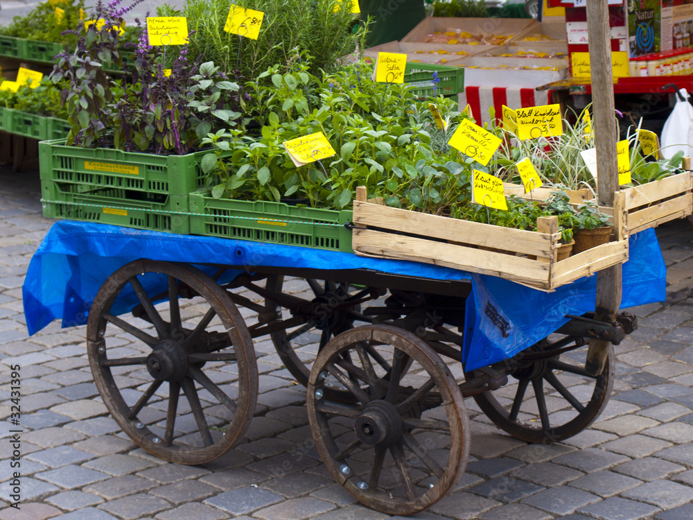 cart with vegetables