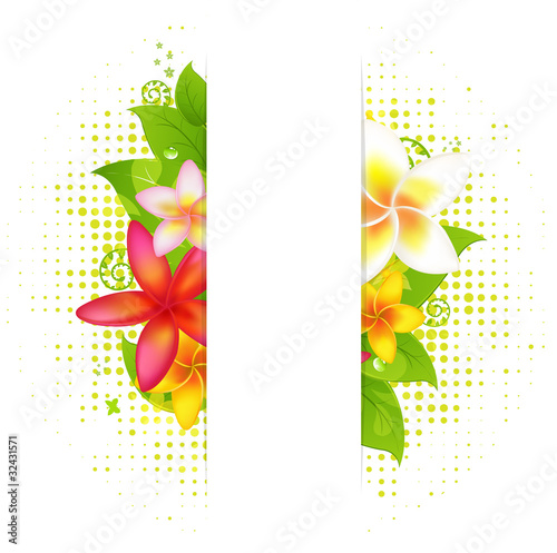 Natural Background With Flower