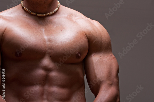 muscular male torso