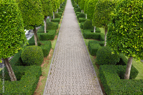 Pavement made of stone in beautiful garden