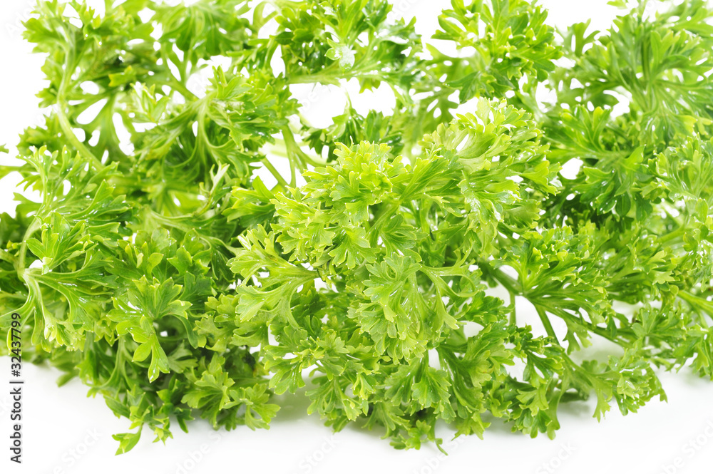 Obraz premium green parsley