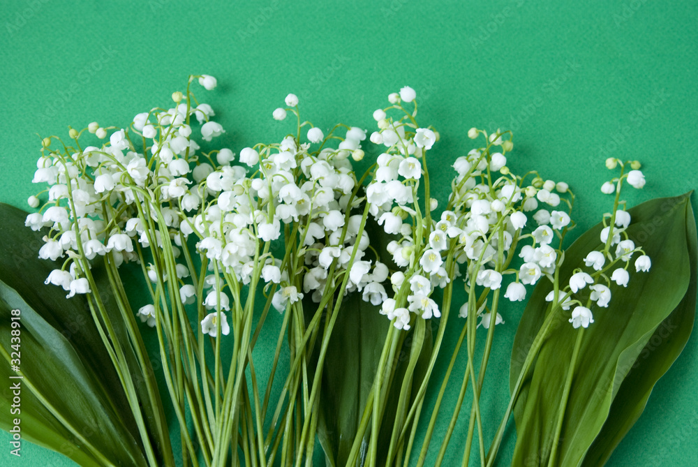 ландыши на зеленом фоне Stock Photo | Adobe Stock