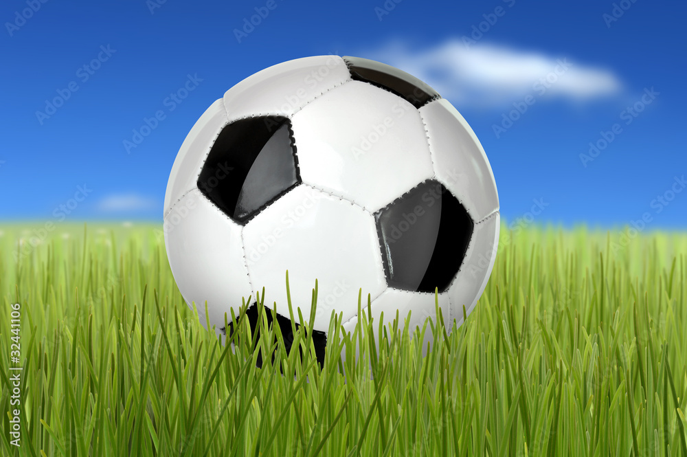 Fototapeta premium Fußball 35