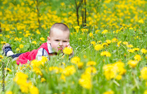 little boy in flowers field © Smailhodzic