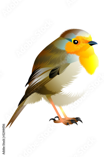 brown, yellow and white birdy