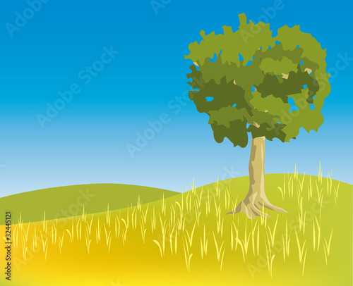 Arbre en été