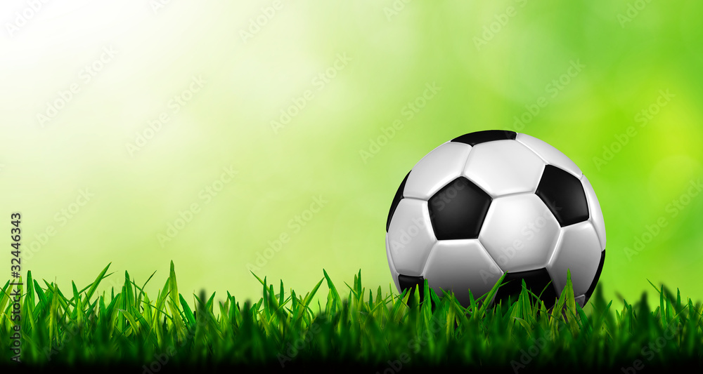 Fototapeta premium soccer football on a fresh green background