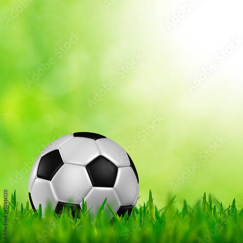 soccer football on a fresh green background