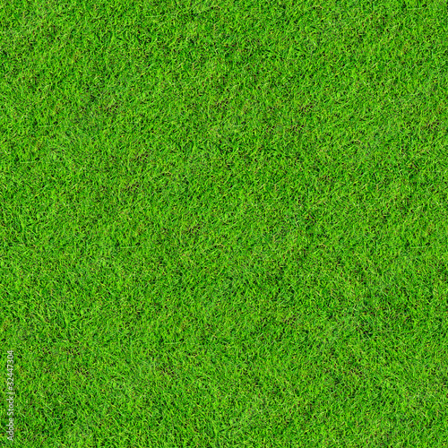 Wallpaper Mural green grass field background Torontodigital.ca