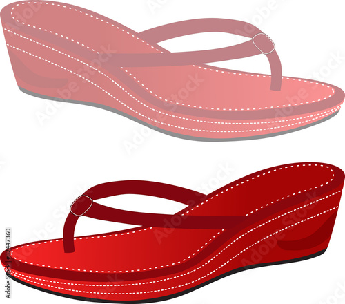 shoe