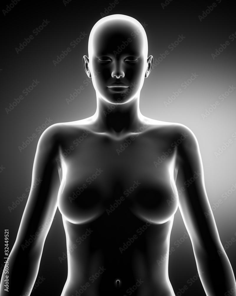 Fototapeta premium Female torso in anatomical position anteriror view