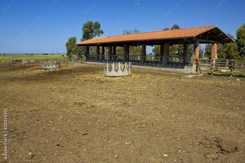 Mangiatoia per le mucche della fattoria