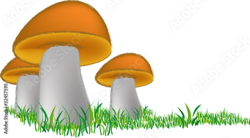 Tre funghetti - Three little mushrooms