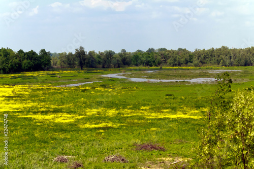 Ried,und Naturschutzgebiet,Obeda