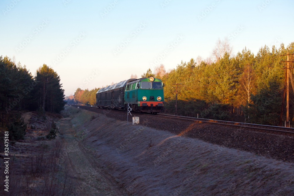 Passenger train passing through the forest