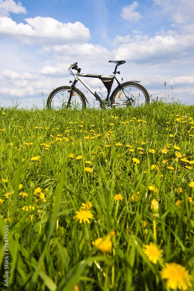 Fototapeta premium bike
